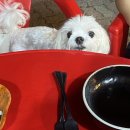 비에이치씨치킨평촌3점