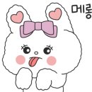 왕가한우