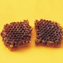 이병철한의원 이미지