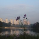 호반마을 20,21단지 사이 이미지