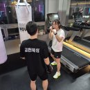 세계 복싱 체육관 이미지