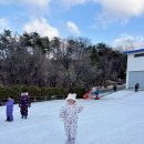 청소년수련원 | 미취학 아이랑 용인청소년수련원 썰매장 가본 후기 장점과 단점 솔직 정리