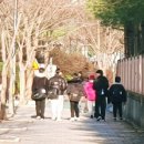 팀왕호 이미지