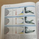 제이.투.비(J.2.B.) | 여덟 마리 새끼 돼지, 스티븐 제이 굴드 지음, 자연학 에세이, 그의 진화생물학 사상이 담긴 책