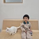 캣플 동탄점 이미지