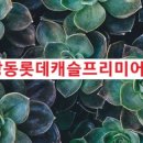 교방동111 이미지
