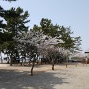 메추리 펜션 이미지