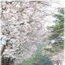 남도마을로문화센터 이미지