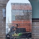 [수원/행궁동/데이트] 미식가의 주방, 소품샵 솔트앤드페퍼, 스모어, 푸딩집 PODONG