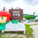 여주-1126 이미지