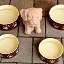 나의 강아지에게 이미지