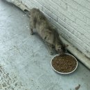 배영태한우전문점 이미지