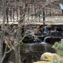 용문산 펜션 | 서울근교 단체 수영장 대가족 양평 용문산 펜션 추천 레트로 감성 프로포즈펜션