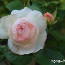 귀여운 사봉~! 이미지