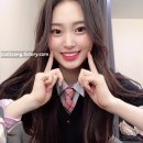 조아(ZOA) 이미지