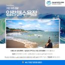 은빛파랑 이미지