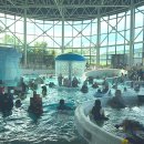 파라다이스스파도고 | 파라다이스 스파 도고 온천 워터파크 후기 국내 온천 여행 추천