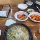 한국의약품물류(주) | 올리브영 양지 물류센터 알바 후기