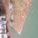 용인운전면허시험장 사거리 이미지