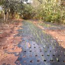 웅포농장 이미지