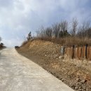 청도 림 이미지