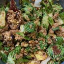 보노피티스튜디오 | 20260314_2월일상정리