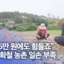 일손돕기로 '통합의 공감대 확장'[목포MBC] 신안, “일당 15만원에도 힘들죠” 양파 수확철 농촌 일손 부족 이미지