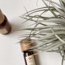 유동룡미술관 이미지