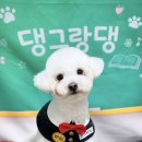 댕그랑댕 이미지