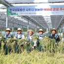 명1호태양광발전소 이미지