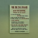 웰빙김밥나라 | 남도국제미식산업박람회 - 김밥 페스티벌 축제 마지막 날