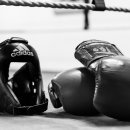 복싱다이어트클럽 이미지