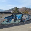 숲쟁이꽃동산제2주차장 Daum카페