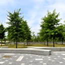 세종중앙공원 이미지