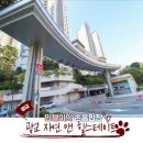 [임장 라이프] 광교자연앤힐스테이트 국평 손품 임장 솔직후기 총정리 - 매매, 전세, 전세가율