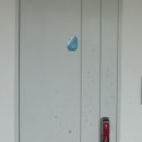 월영동로 이미지