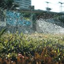 극복 농장 이미지