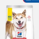 퍼펙트바이트 네이버블로그