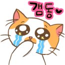 페르메스 이미지
