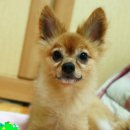 서울화곡4동우체국 이미지