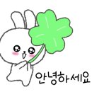 헤브론153 카페 이미지