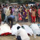 고라농장 이미지