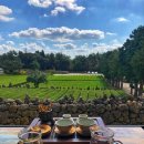 서귀고양이 이미지