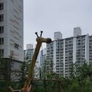 신상근린공원 이미지