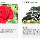 서울송정초등학교 이미지