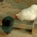 이천(하남)휴게소 이미지