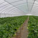 승현농장 이미지