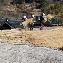의령 상정리 조씨고가 이미지
