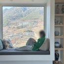 스테이외송 이미지