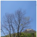 천주사 입구 이미지